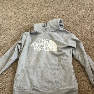 gray north face sweatshirt